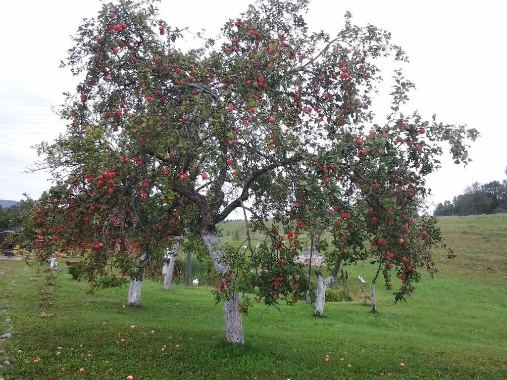Pumpuri Villa Svente Luaran gambar